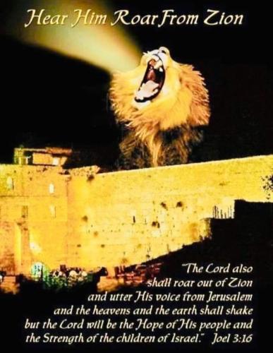 04a79aa8-e1ed-4e9c-92e4-9c4e9e1bb823