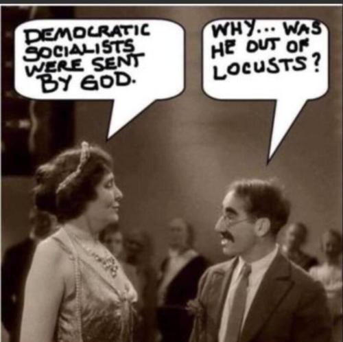Democrat locusts