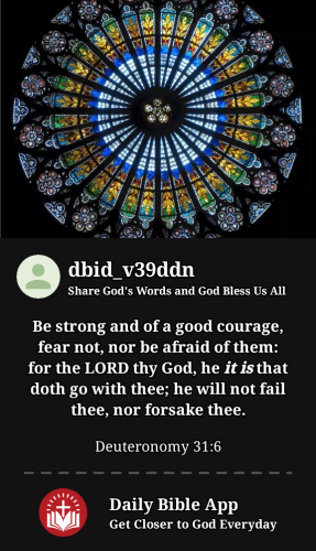 2023-11-071699420958926