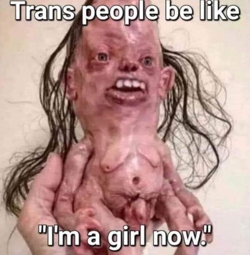 b9c065bf-e09c-4972-afb8-395f8f443c72