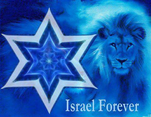 12246890_902593946456533_3067412877450260672_n