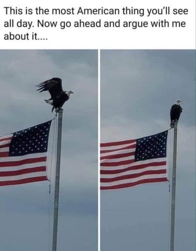 Eagle and Flag