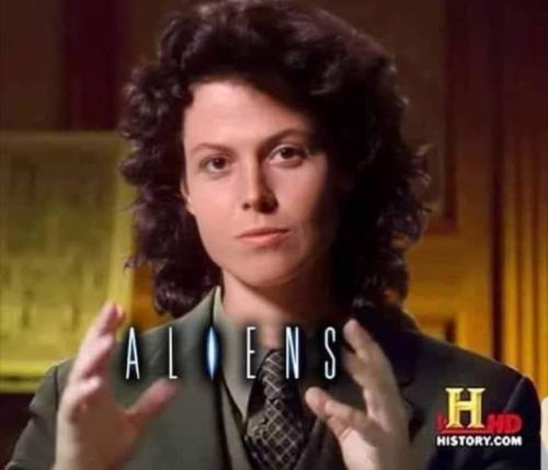 FB_IMG_1700936531661