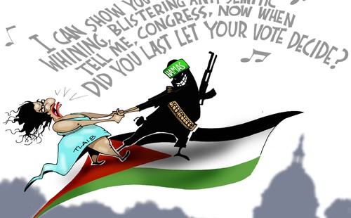 MC_TlaibAladdin_web-500x310