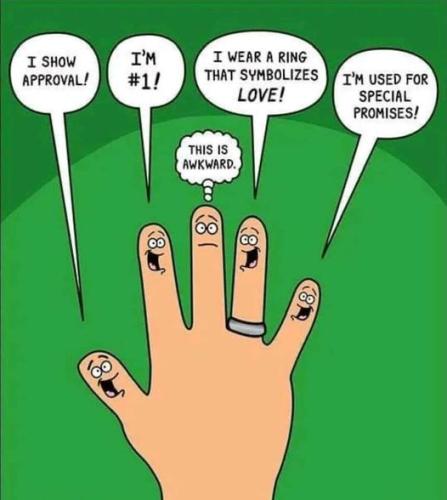 403710757_10159613675647231_3465025128409966084_n