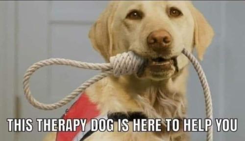 FB_IMG_1699575943629