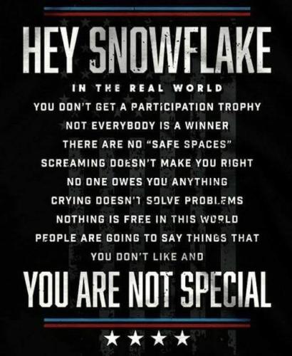 hey snowflake