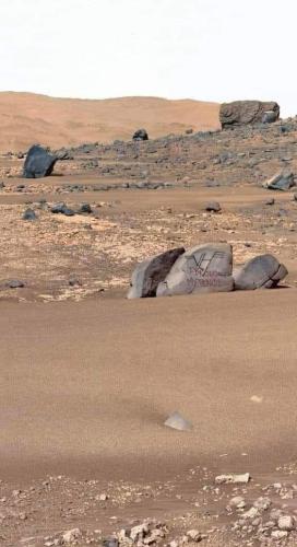 FB_IMG_1698845544057