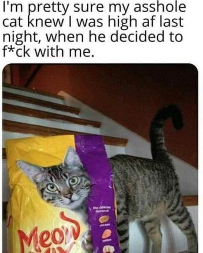 FB_IMG_1699494067707