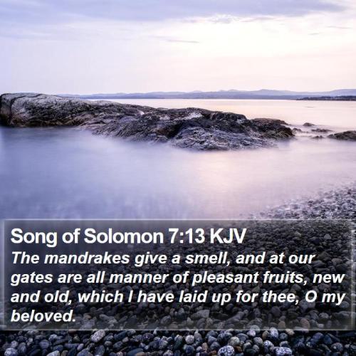 Song of Solomon 7_13