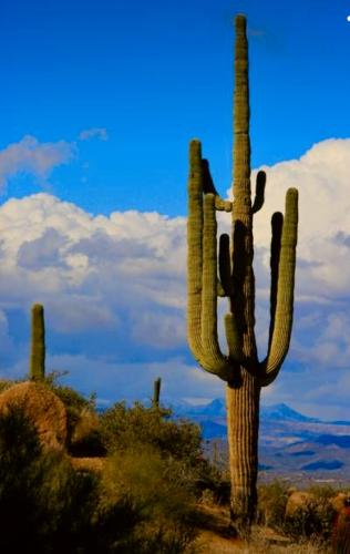 35ED9505-1303-4045-AE31-5272E626DF76