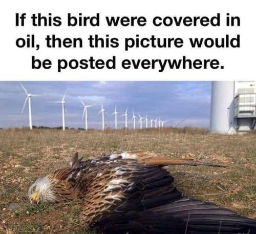 395335663_10232102853336518_4616375352921408038_n