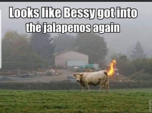 Screenshot_20231104-150835_MeWe