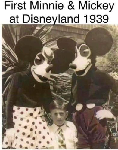 FB_IMG_1699039968423