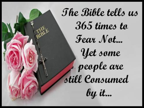 photo_2023-11-04_22-57-44