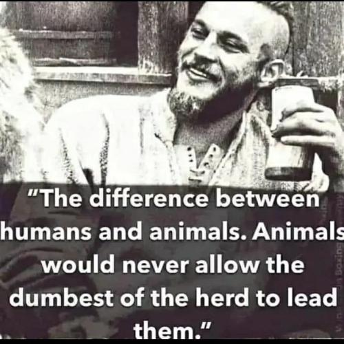 6969a11e-d83b-4a9c-8067-81794d1e5bb7