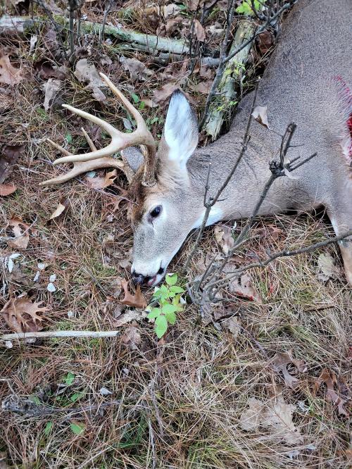 09:17:18 GMT-0600 (CST)