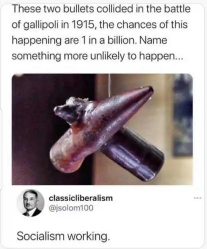 20231115_092950