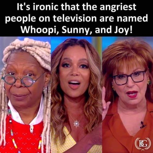 FB_IMG_1699289850167