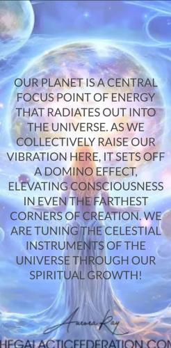 .      312910013_11556575753