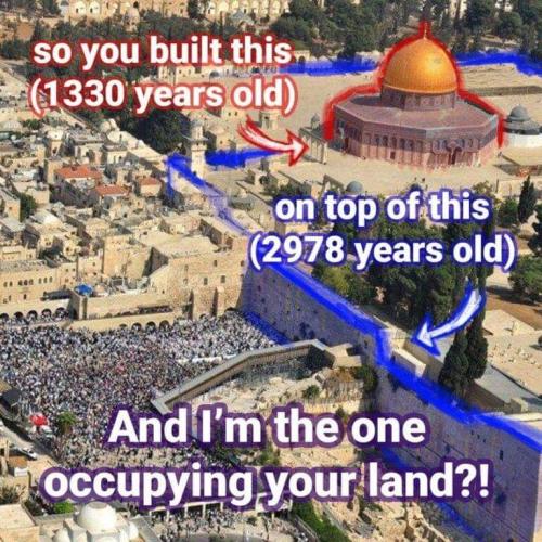 FB_IMG_1700368017548