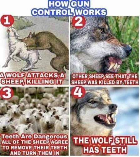 FB_IMG_1699837464024