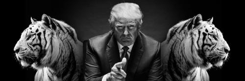 55ec7f8d69e3d2cfd72a45f5c73117ca