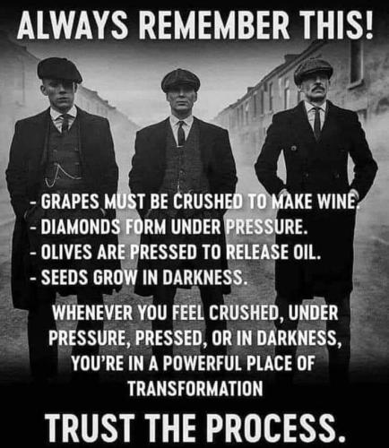 FB_IMG_1699590695890
