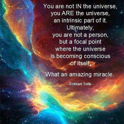 .      393453914_82070814672