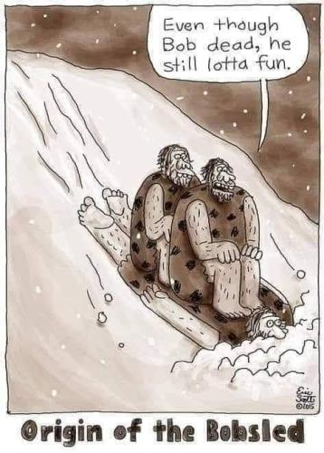 bob sled