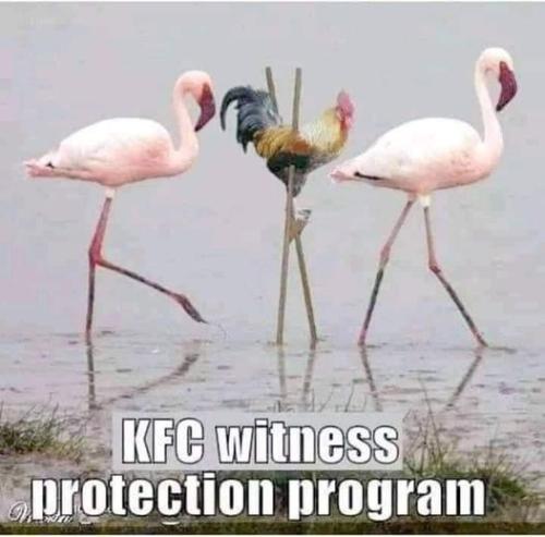 250064747_2991511924421999_1906942430103935801_n