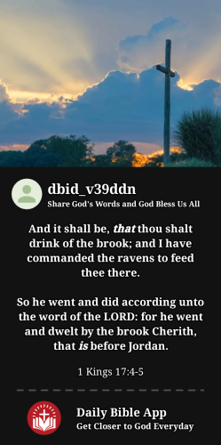 2023-11-221700687211963