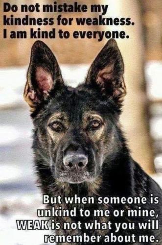 e5b788a5-321b-4dc2-bc88-227e12b11317