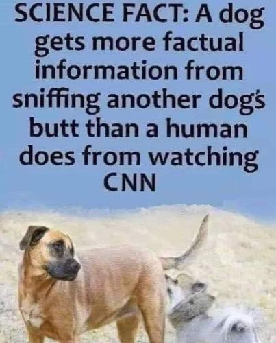 FB_IMG_1701207292277