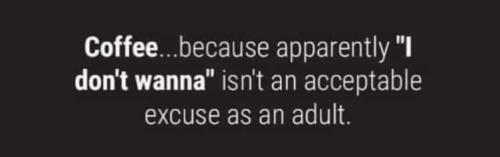 FB_IMG_1700145446851