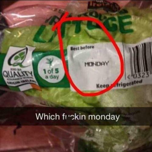 FB_IMG_1699212570150