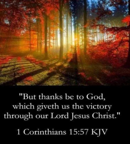 ceae5cb3-6976-4b22-ab37-cf50b0a82b92