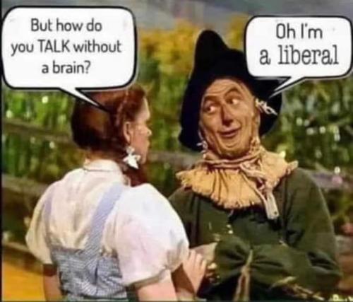 FB_IMG_1699551426705