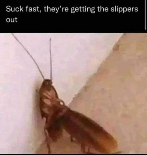 FB_IMG_1700688528147