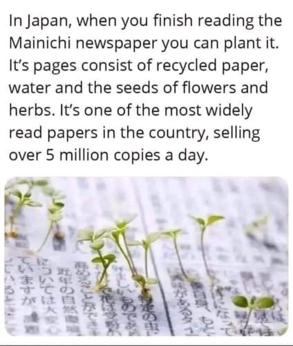 Japanese paper