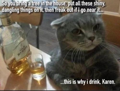 259742011_10227594792561566_410707079502803358_n