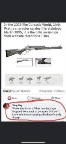 FB_IMG_1699209250886