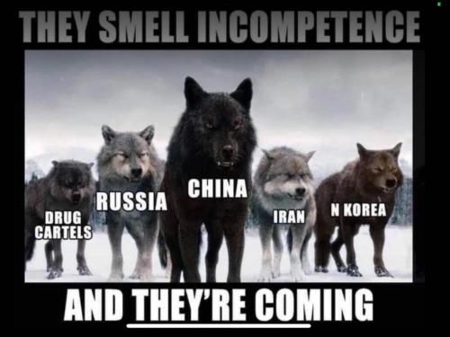 395604720_10228042895929603_158947747471840846_n