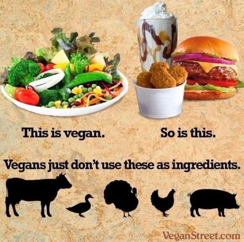 401656916_7260283900671652_5594699113679816518_n