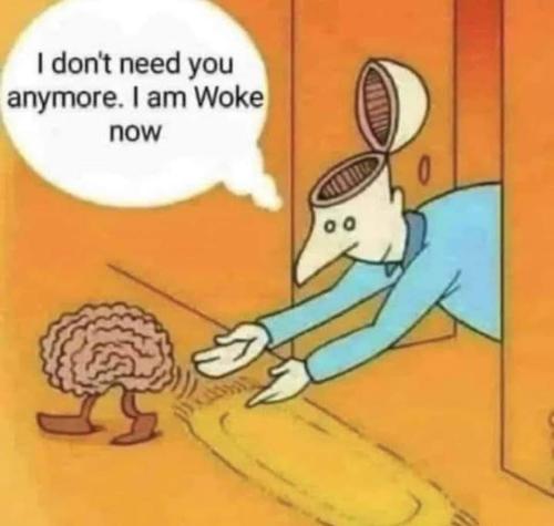 FB_IMG_1700014977144