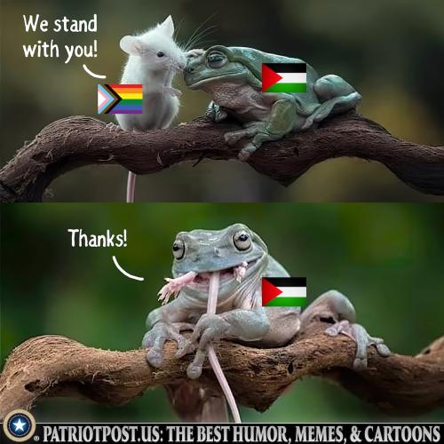 we stand with you
