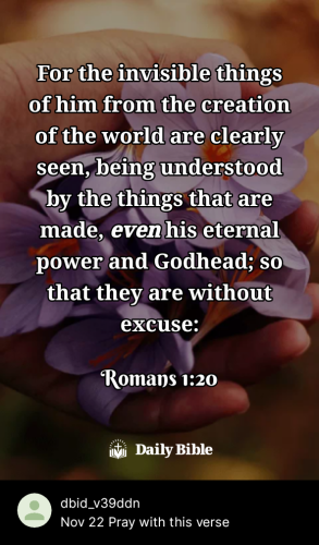 2023-11-221700686993698