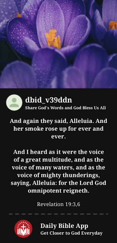 2023-11-271701108291618