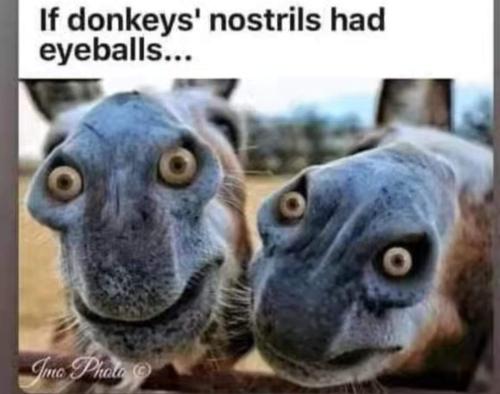 FB_IMG_1699209227814