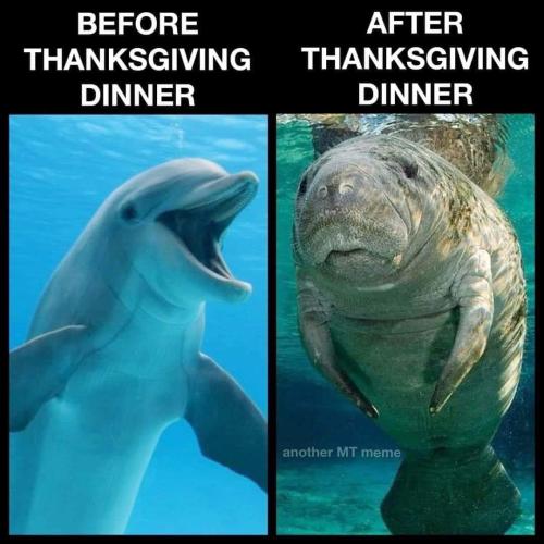 FB_IMG_1700799111144